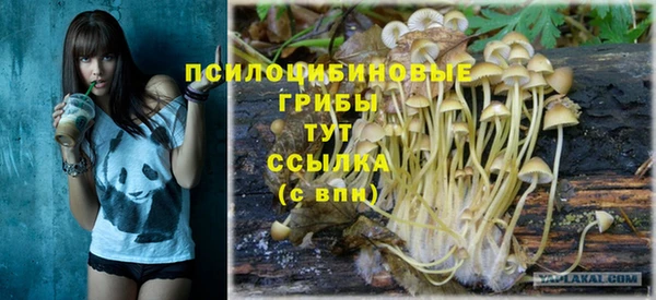 каннабис Аркадак