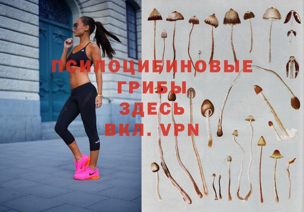 каннабис Аркадак