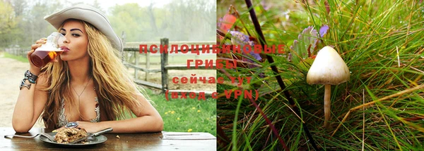 соль ск Алексеевка