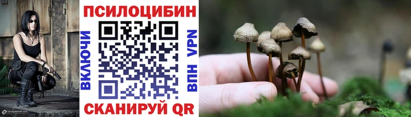 купить наркоту  мориарти клад  Галлюциногенные грибы Magic Shrooms  Бакал 